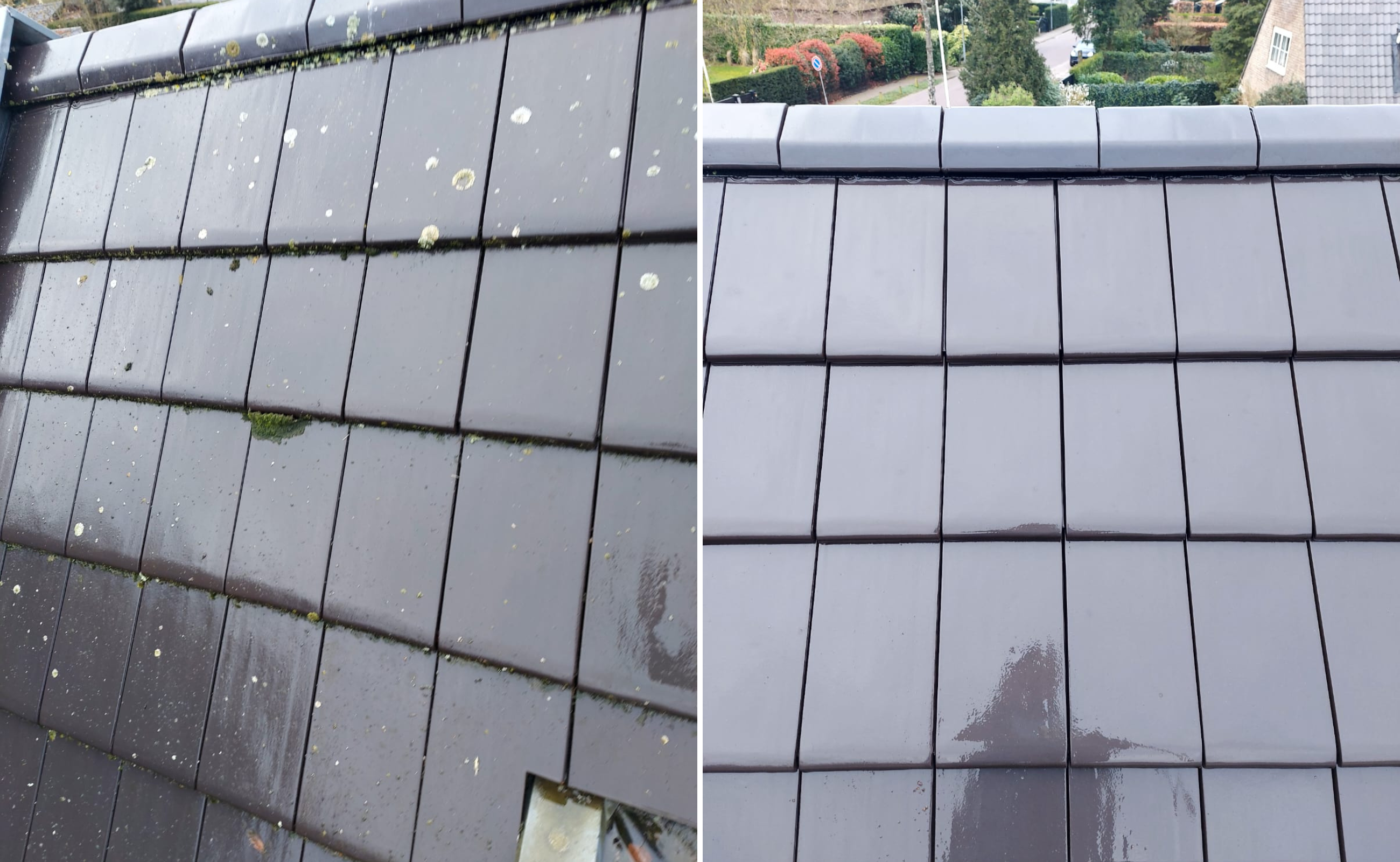 Schoonmaak